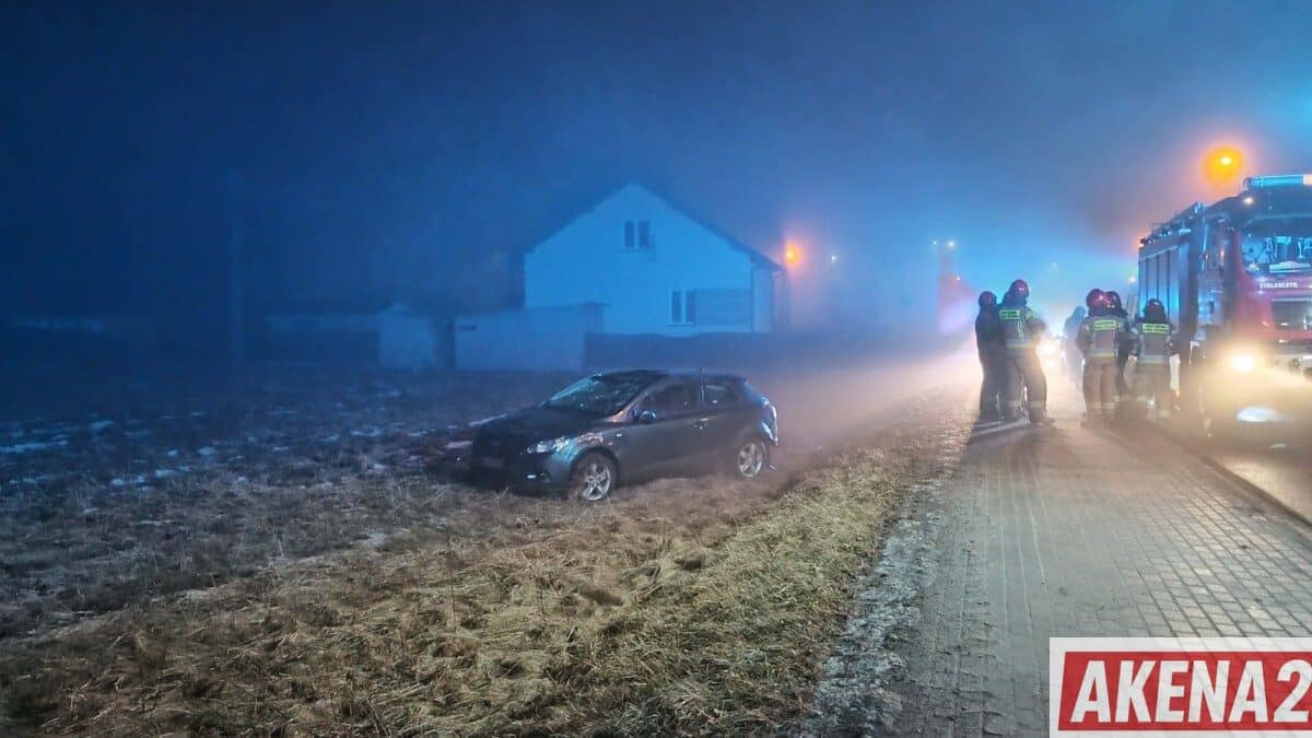 Wieczorne dachowanie w Mielcu. Interweniowały służby ratunkowe!